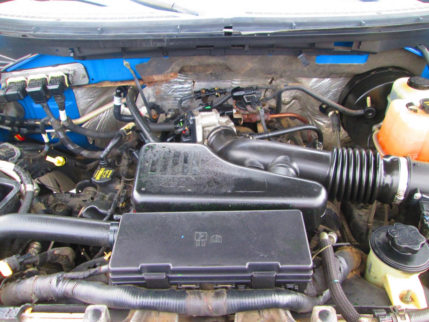 2009 BLUE Ford F-150 (1FTRW12W09F) with an 4.6L V8 OHC FFV engine, 4-Speed Automatic transmission, located at 1815 NE 28th St., Fort Worth, TX, 76106, (817) 625-6251, 32.795582, -97.333069- Photo#11