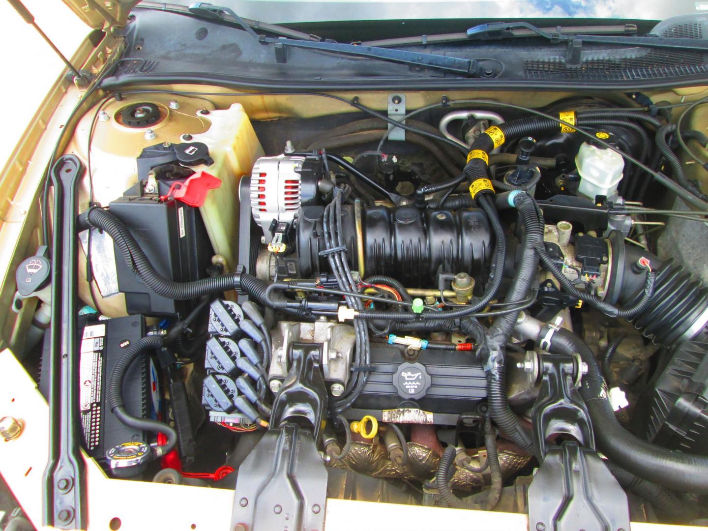 2004 GOLD Buick Regal LS (2G4WB52K341) with an 3.8L V6 OHV 12V engine, 4-Speed Automatic Overdrive transmission, located at 1815 NE 28th St., Fort Worth, TX, 76106, (817) 625-6251, 32.795582, -97.333069 - Photo#11