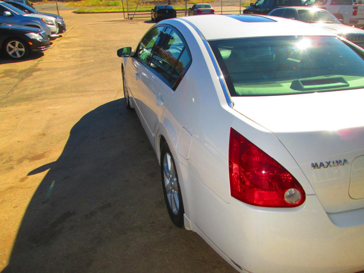 2005 WHITE Nissan Maxima SE (1N4BA41E15C) with an 3.5L V6 DOHC 24V engine, 5-Speed Automatic Overdrive transmission, located at 1815 NE 28th St., Fort Worth, TX, 76106, (817) 625-6251, 32.795582, -97.333069 - Photo#4