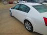 2005 WHITE Nissan Maxima SE (1N4BA41E15C) with an 3.5L V6 DOHC 24V engine, 5-Speed Automatic Overdrive transmission, located at 1815 NE 28th St., Fort Worth, TX, 76106, (817) 625-6251, 32.795582, -97.333069- Photo#6
