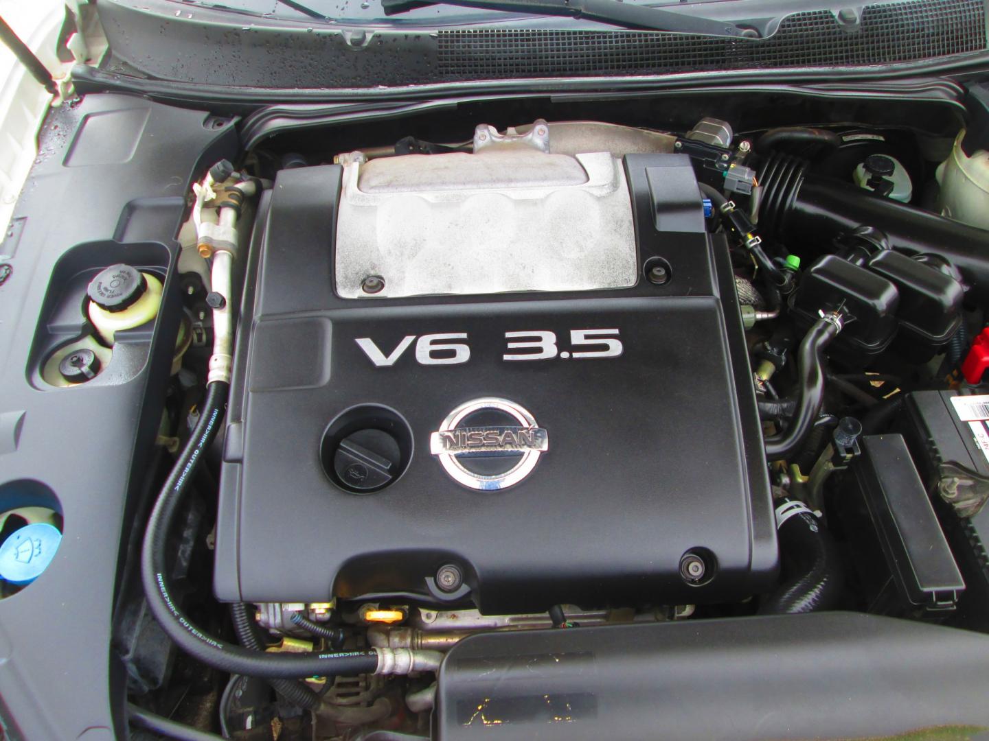 2005 WHITE Nissan Maxima SE (1N4BA41E15C) with an 3.5L V6 DOHC 24V engine, 5-Speed Automatic Overdrive transmission, located at 1815 NE 28th St., Fort Worth, TX, 76106, (817) 625-6251, 32.795582, -97.333069- Photo#11